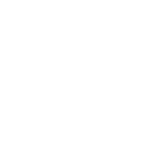 空職人インドアドローンショー