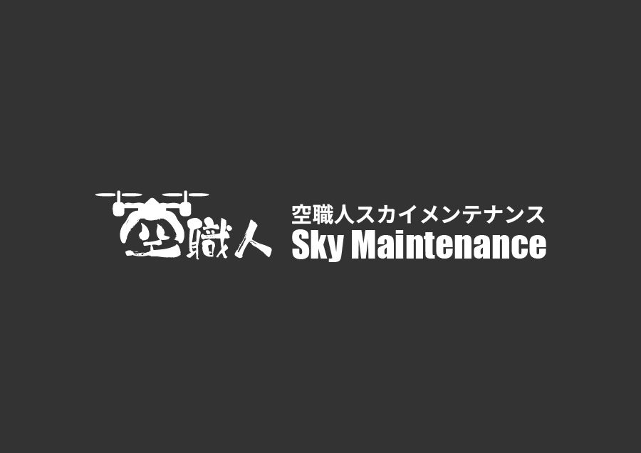 橋梁構造物診断
